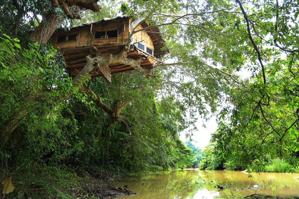 Kumbuk Tree House Villa Tissamaharama Kültér fotó