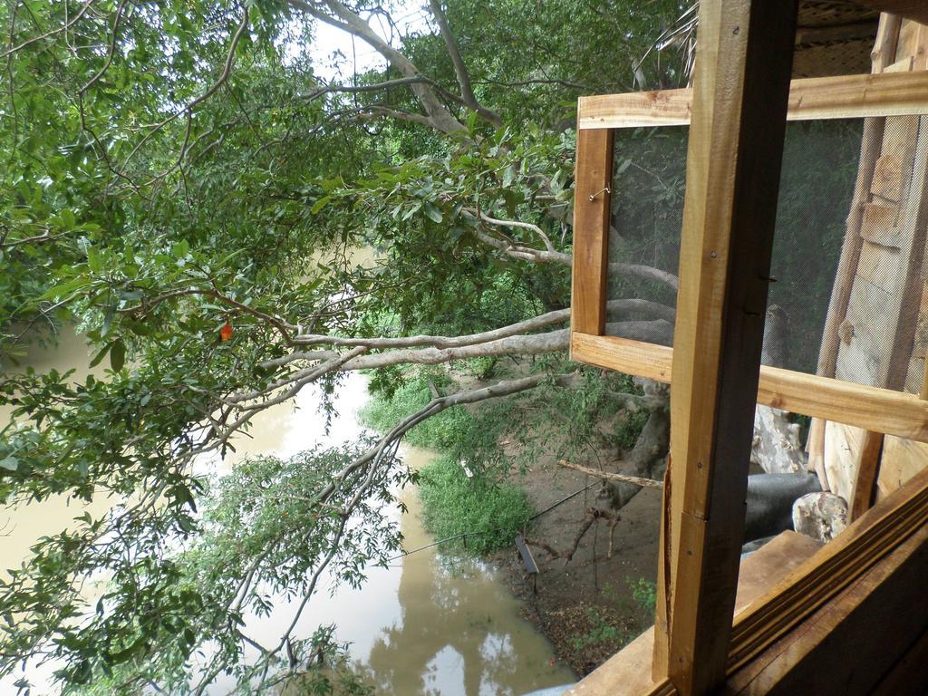 Kumbuk Tree House Villa Tissamaharama Kültér fotó