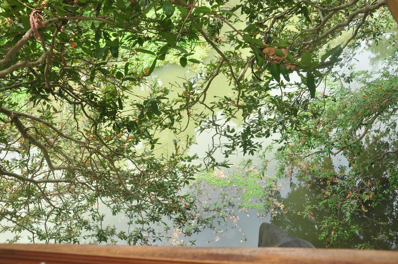 Kumbuk Tree House Villa Tissamaharama Kültér fotó