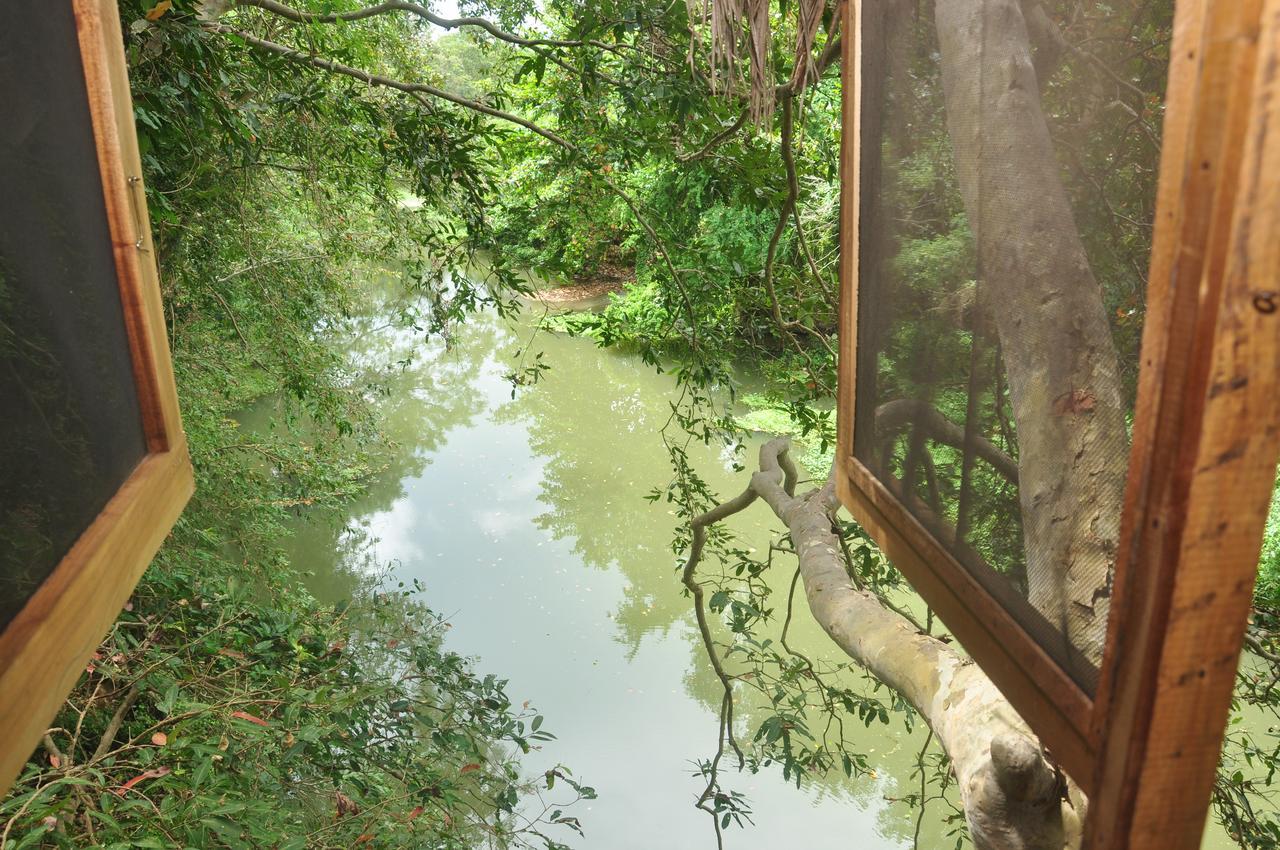 Kumbuk Tree House Villa Tissamaharama Kültér fotó