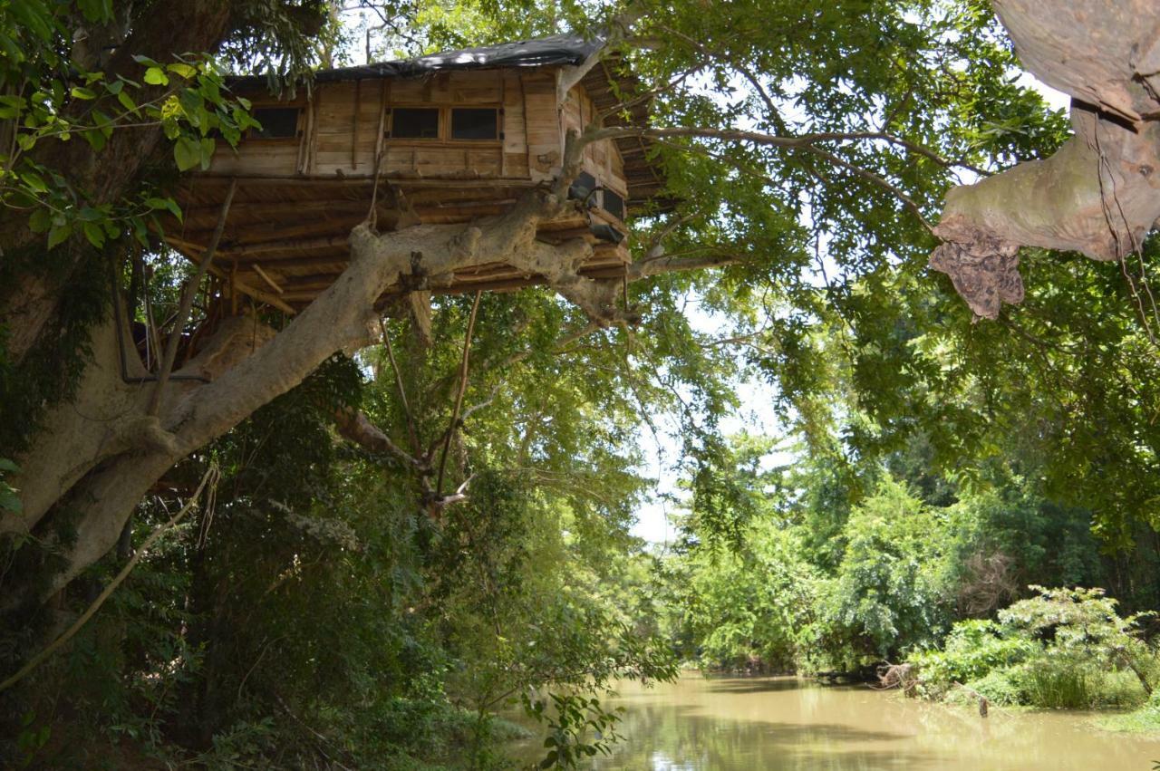 Kumbuk Tree House Villa Tissamaharama Kültér fotó